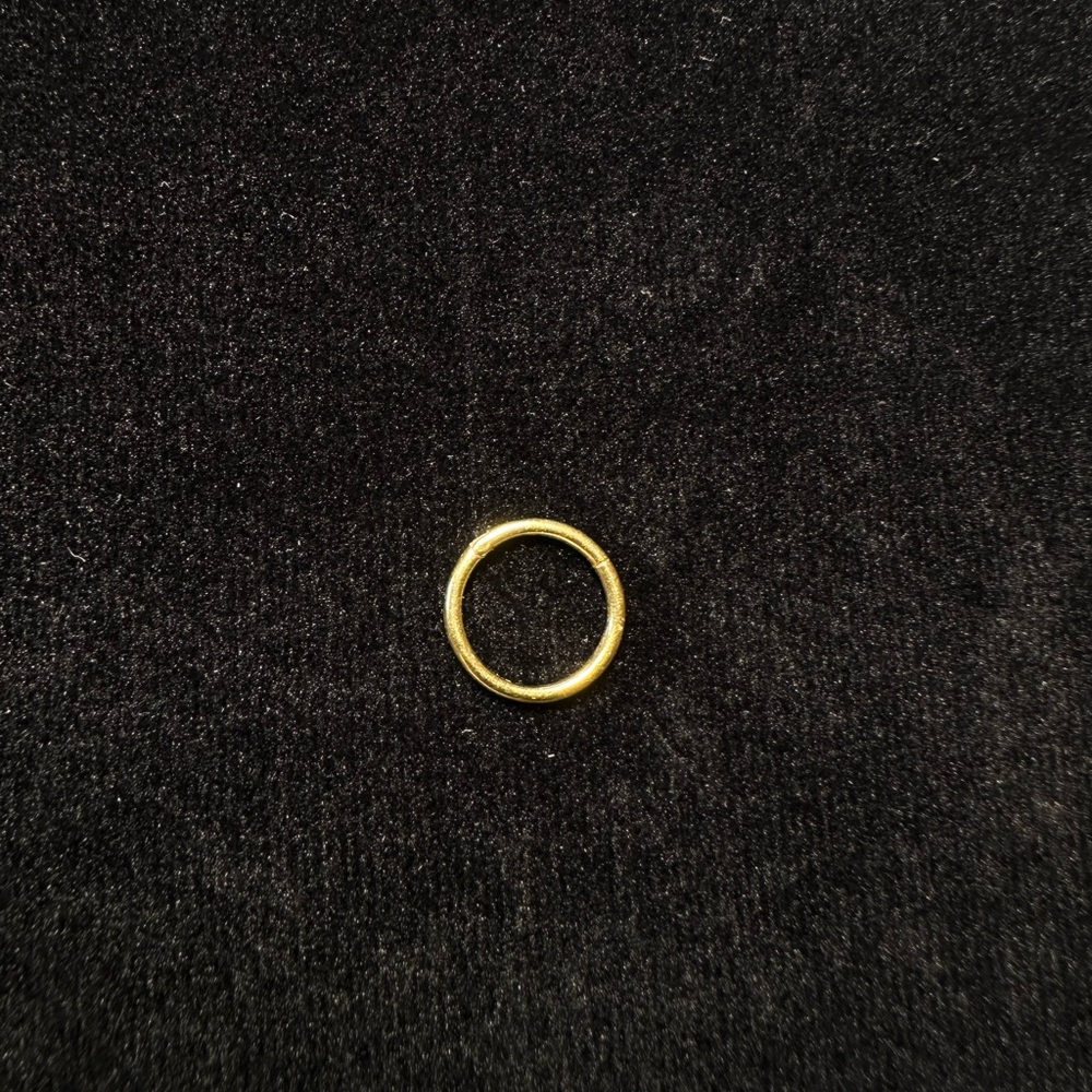 18k Solid Gold Hinged Ring 16 Gauge 10mm